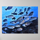 Suche nach chirurgisch poster Chirurgen