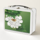 Suche nach skizze brotdosen Blume