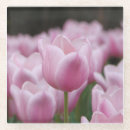 Suche nach gartenbau untersetzer Für sie
