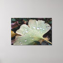 Suche nach grenze leinwandbilder Herbst