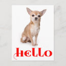 Suche nach chihuahua postkarten Hunde