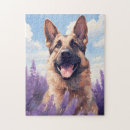Suche nach lavendelfelder puzzle Blume