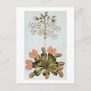 Suche nach flyer postkarten Blume