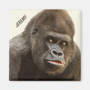 Suche nach gorilla magnete Lustig
