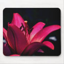 Suche nach taglilie mousepads Blume