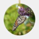 Suche nach lila schmetterling ornamente Jede person