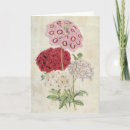 Suche nach sorten karten Blume