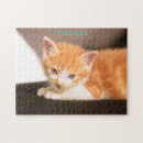 Suche nach katzen puzzle Für kinder