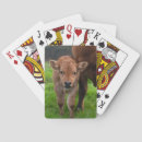 Suche nach cow spielkarten Ranch