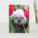 Suche nach französische bulldogge karten Franchise