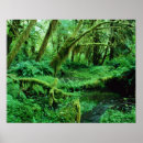 Suche nach tropischer regenwald poster Horizontal