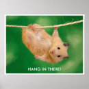 Suche nach niedliche hamster poster Tiere