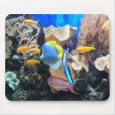 Suche nach korallenriff mousepads Fische