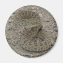 Suche nach viper magnete Jede person