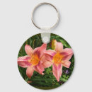 Suche nach tageslilie Hemerocallis