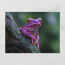 Suche nach rosa baum postkarten Für alle