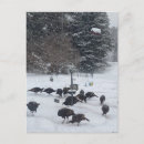 Suche nach treffen postkarten Für alle