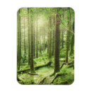 Suche nach wald magnete Natur