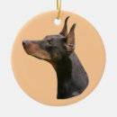 Suche nach dobermann schmuck Haustiere