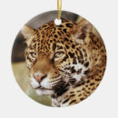 Suche nach jaguar an ornamente Katze