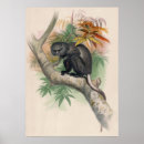 Suche nach monkey poster Antique