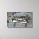 Suche nach krabben leinwandbilder Blau