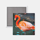 Suche nach rosa flamingo magnete Für alle