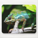 Suche nach reptilien mousepads Eidechsen