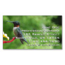 Suche nach kolibris visitenkarten Fotografie