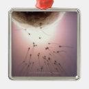 Suche nach ei ornamente Illustration