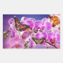 Suche nach rosa orchideen aufkleber Blumenreich