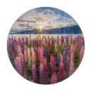 Suche nach neuseeland schneidebrettchen Lupine