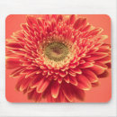 Suche nach roter gerbera elektronik zubehör Gänseblümchen