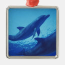 Suche nach tümmler ornamente Schwimmen