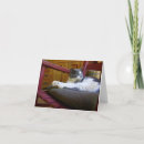 Suche nach schaukelstuhl karten Katzen