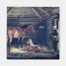 Suche nach stabil magnete Fohlen