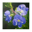 Suche nach blaue blumen fliesen Jede person