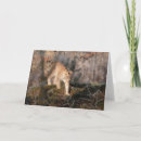 Suche nach luchs karten Natur