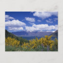 Suche nach lupine postkarten Landschaft