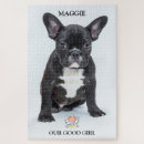Suche nach mops sport spiele Welpe