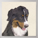 Suche nach berner sennenhund poster Für alle