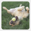 Suche nach tennisball aufkleber Spaß
