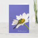 Suche nach libelle karten Jede person