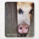 Suche nach die schweine mousepads Jede person