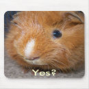 Suche nach meerschweinchen mousepads Guinea