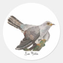 Suche nach kuckuck aufkleber Vogelvogel
