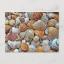 Suche nach schalentiere postkarten Ozean