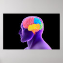 Suche nach menschliches gehirn poster Illustration