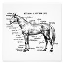 Suche nach gravieren poster Anatomie