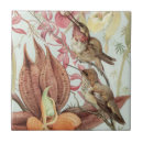 Suche nach tropische orchideen fliesen Kolibris